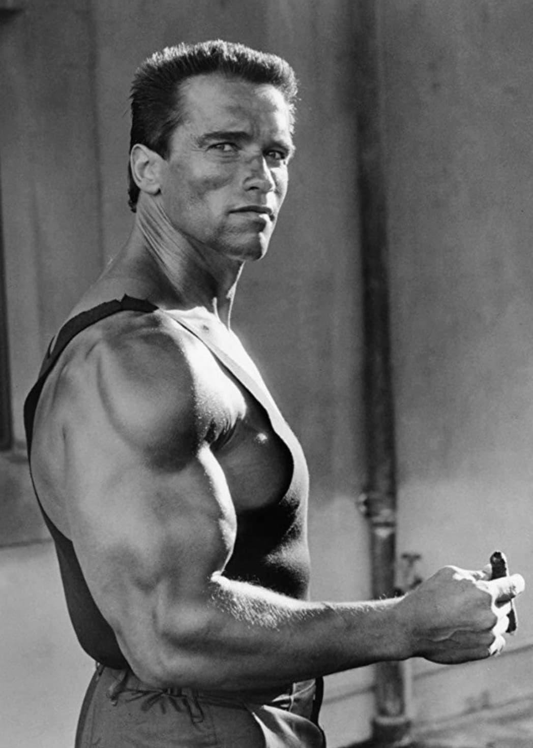 arnold schwarzenegger i ll be back